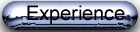 Experience