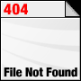 404
